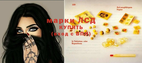 мяу мяу мука Аркадак