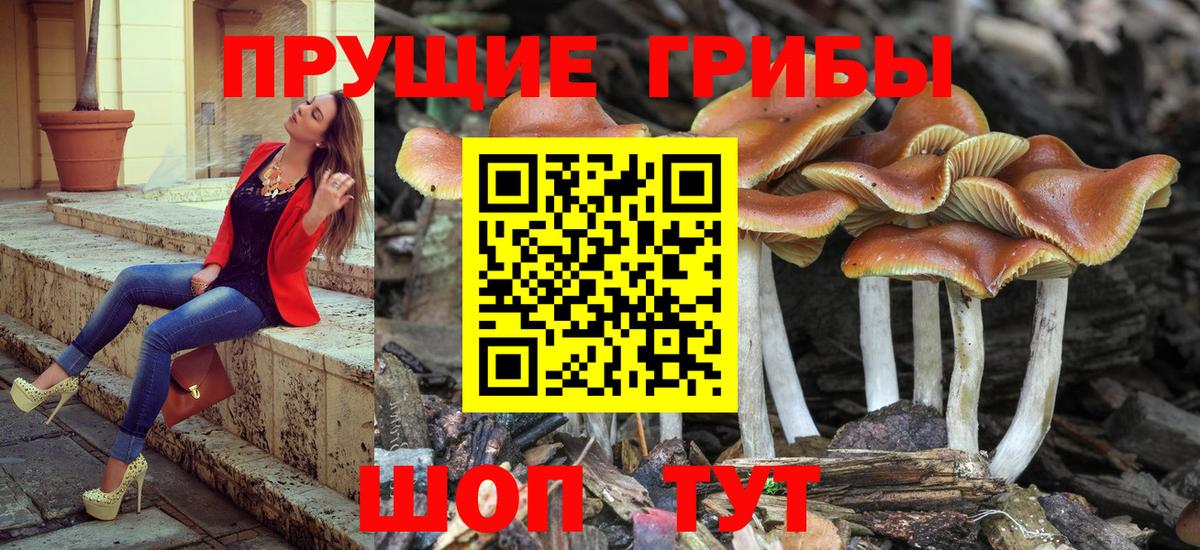 Псилоцибиновые грибы MAGIC MUSHROOMS Усть-Джегута
