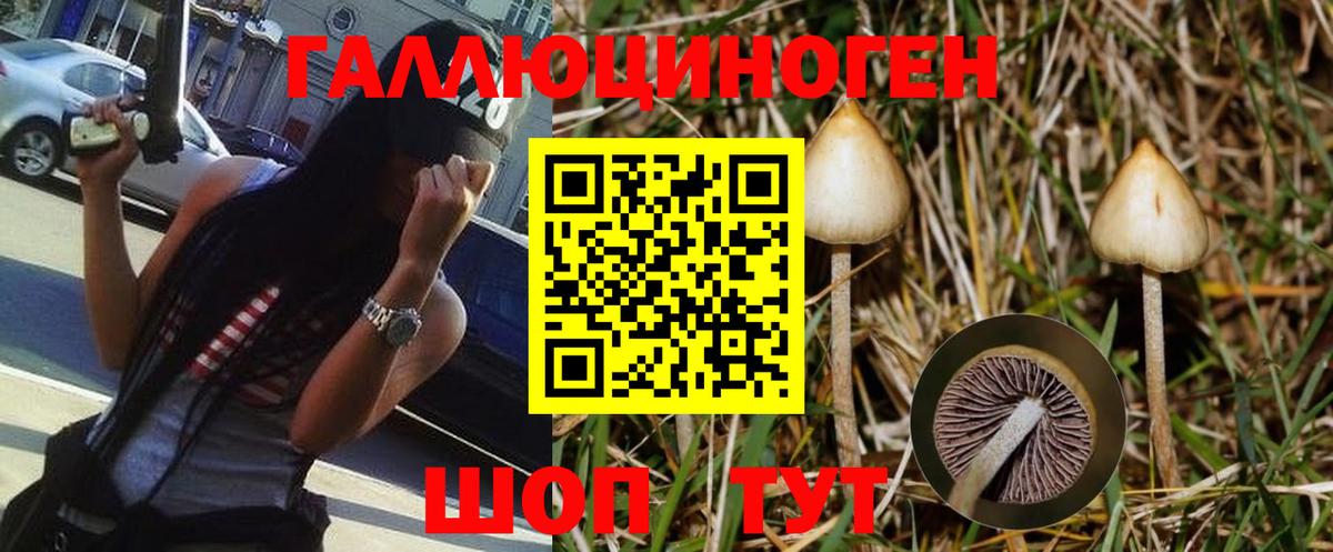 магазин продажи   Галлюциногенные грибы GOLDEN TEACHER  Усть-Джегута  Вход с VPN  Галлюциногенные грибы Cubensis 