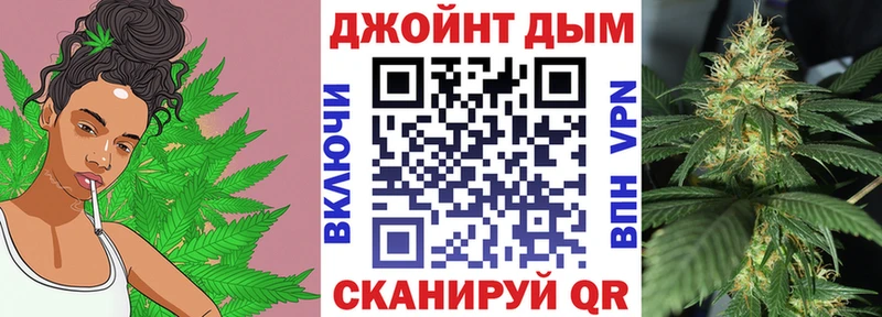 кракен ССЫЛКА  Усть-Джегута  МАРИХУАНА сатива  купить наркотики цена 
